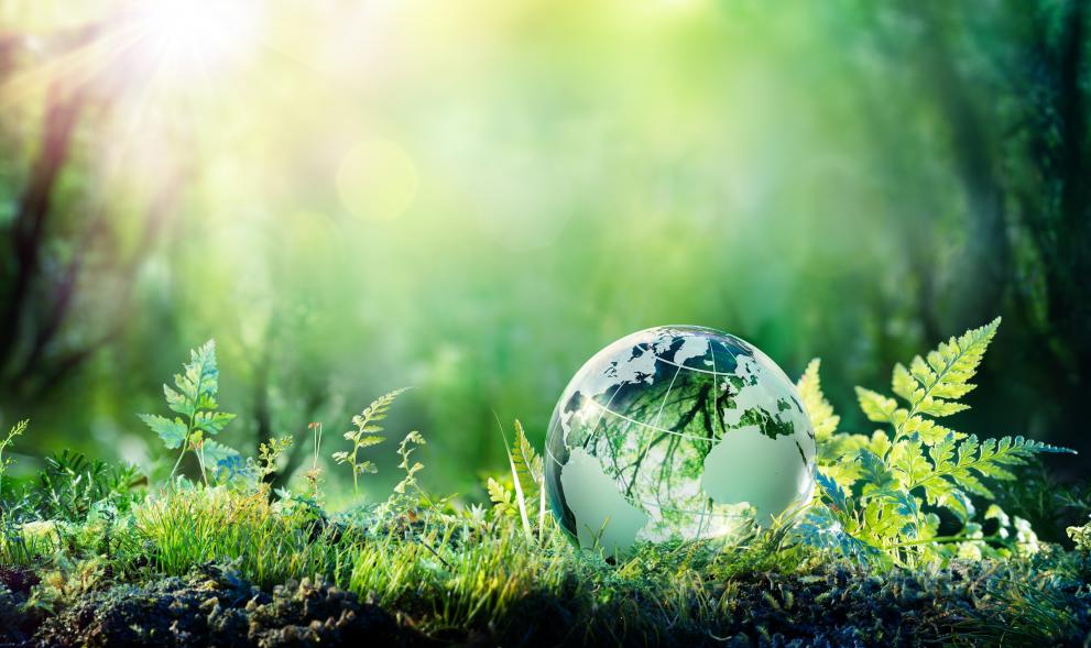 La transizione ecologica nel territorio Tosco Emiliano